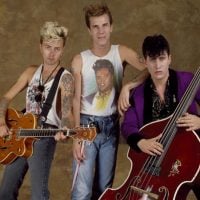 stray-cats